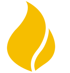 Business Portal Content